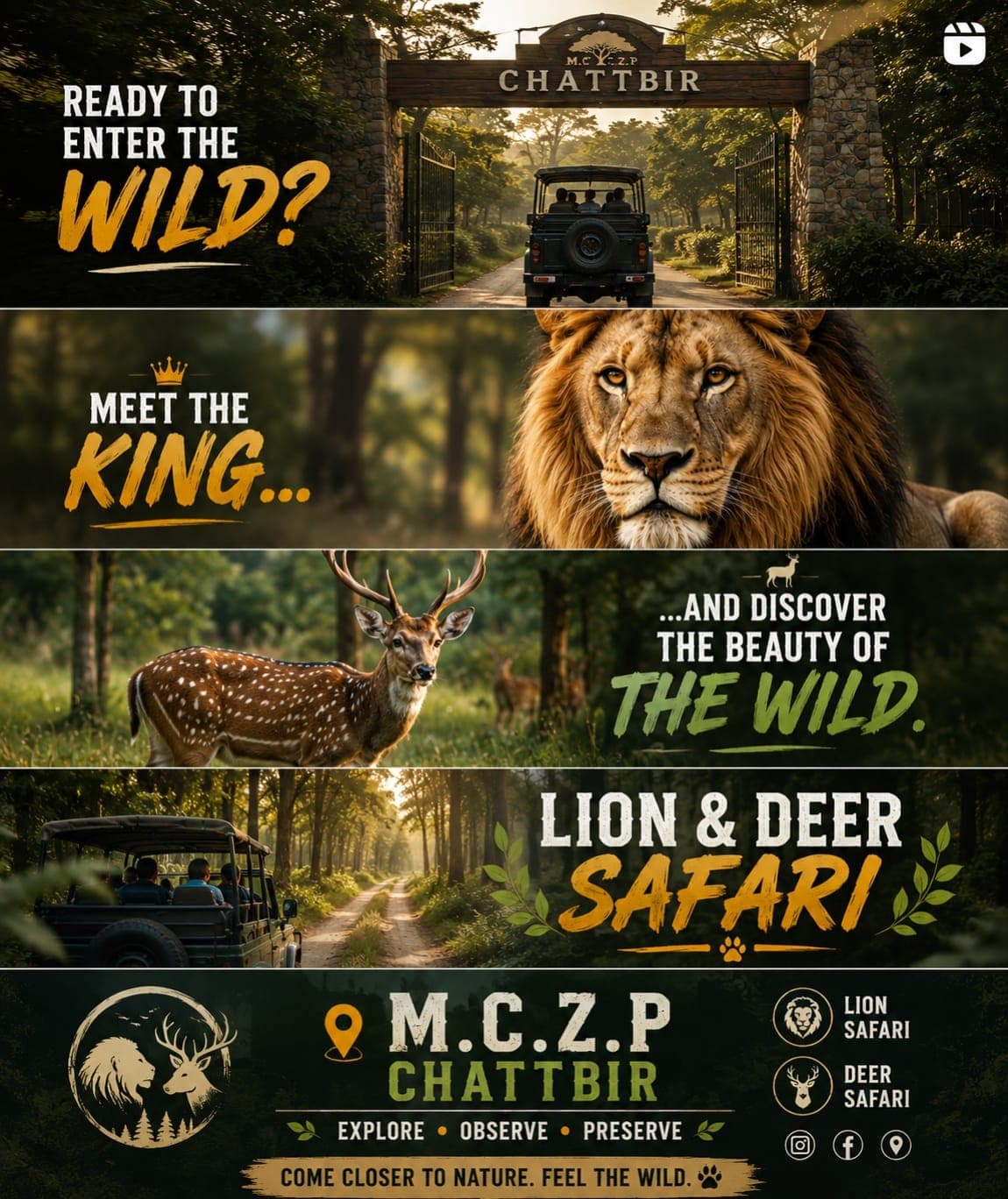 Illustrated safari journey through the gate, lion and deer habitats, and the trail